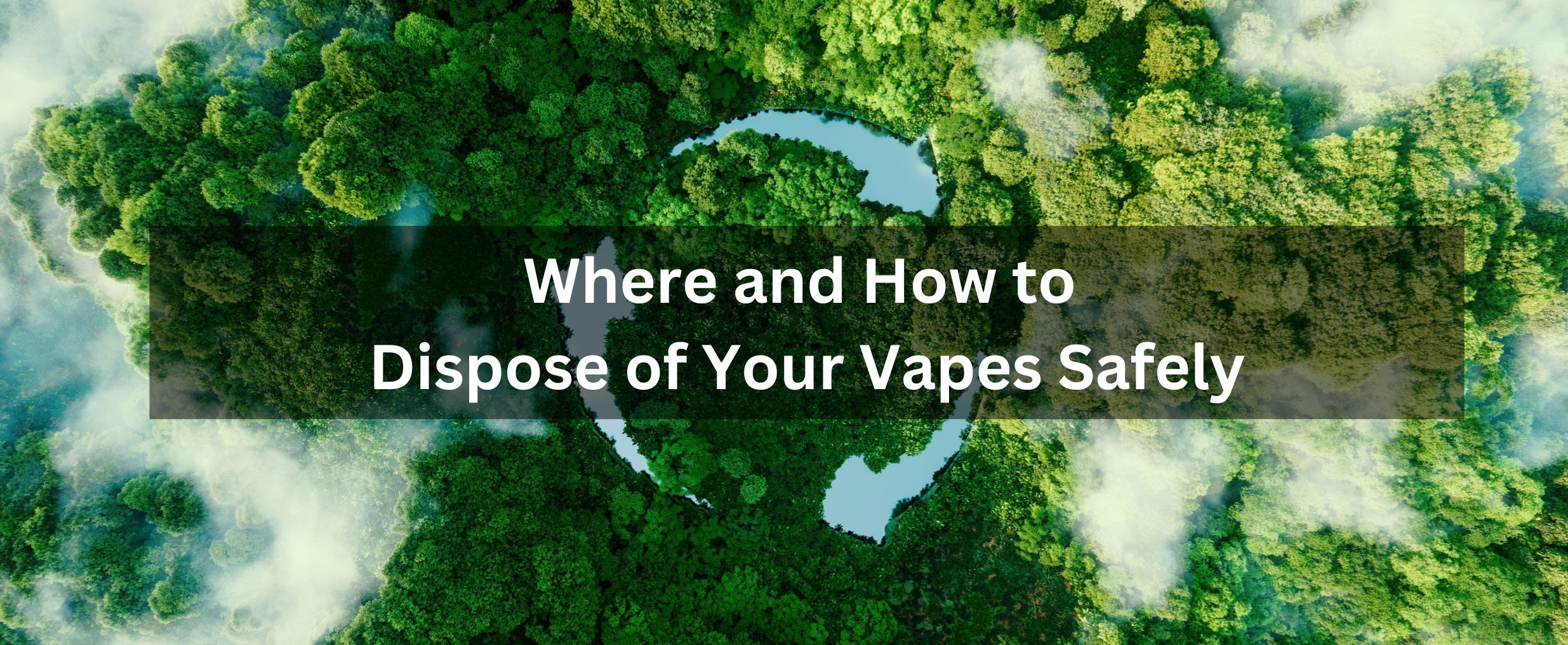 Where and How to Dispose of Your Vapes Safely